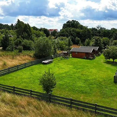 Pod Dzika Jablonia * Debina (Ustka)