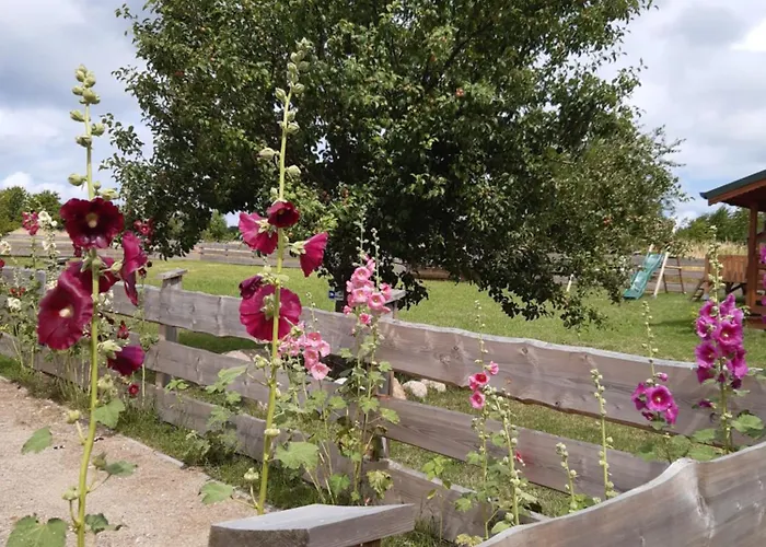 Pod Dzika Jablonia Debina (Ustka)