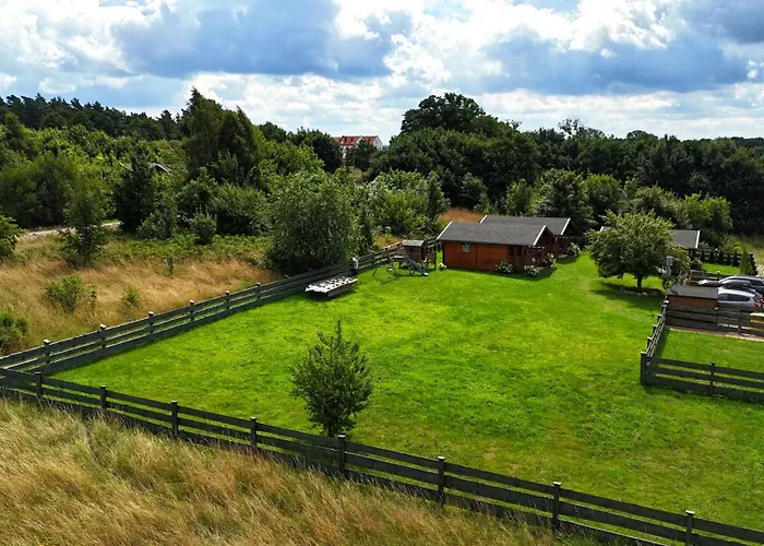 Pod Dzika Jablonia * Debina (Ustka)